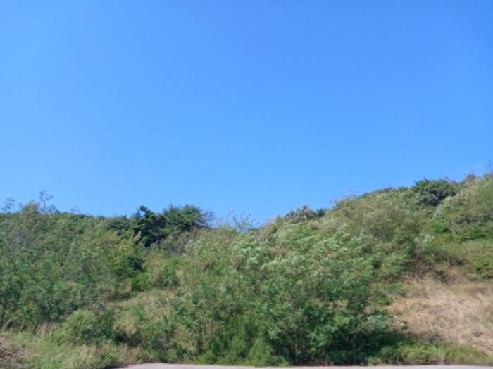 충청남도 서산시 운산면 고산리 333-3 대지 경매 사진 75