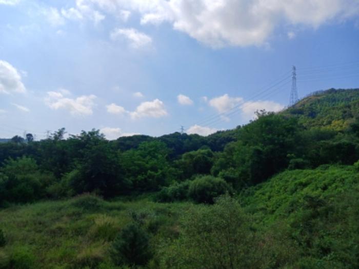 충청남도 서산시 운산면 고산리 333-3 대지 경매 사진 77