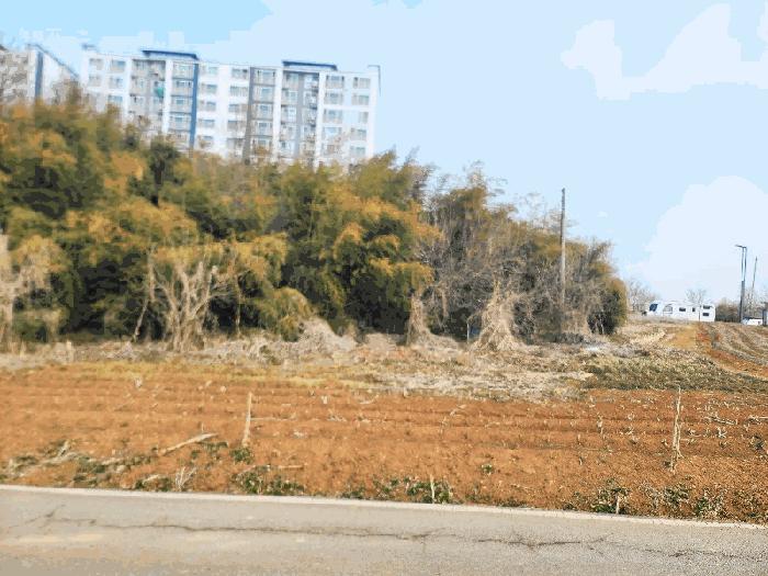 충청남도 당진시 신평면 거산리 22-22 전 경매 사진 1