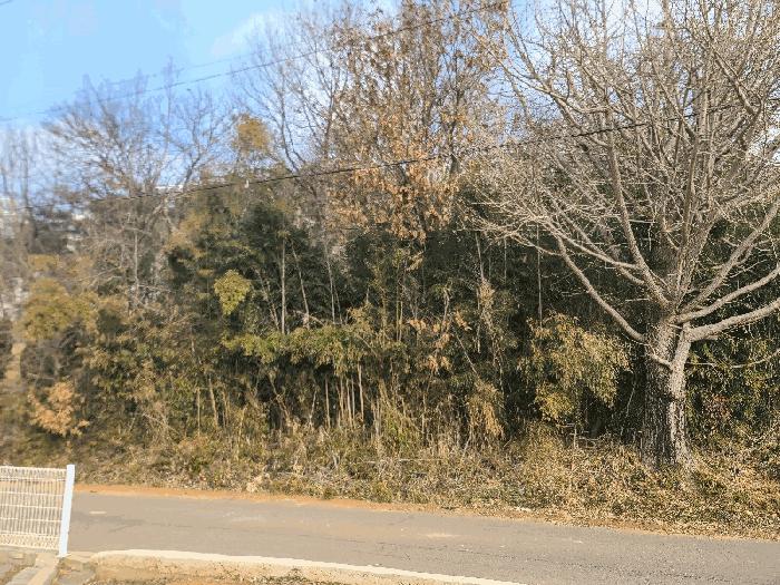충청남도 당진시 신평면 거산리 22-22 전 경매 사진 11
