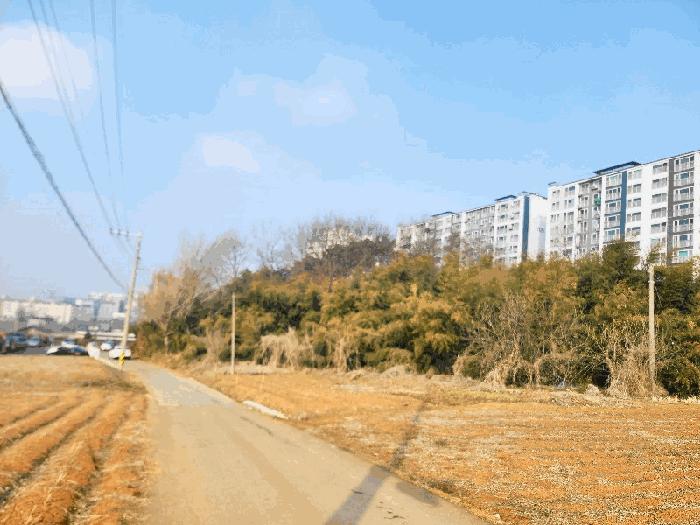 충청남도 당진시 신평면 거산리 22-22 전 경매 사진 13
