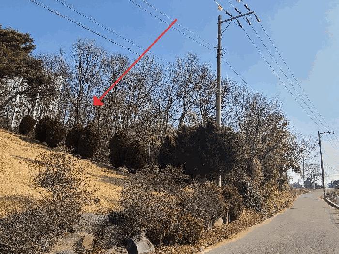 충청남도 당진시 신평면 거산리 22-22 전 경매 사진 2