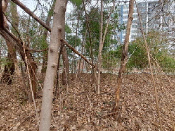 충청남도 당진시 신평면 거산리 22-22 전 경매 사진 20