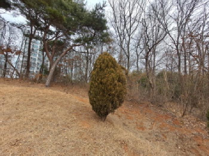 충청남도 당진시 신평면 거산리 22-22 전 경매 사진 22