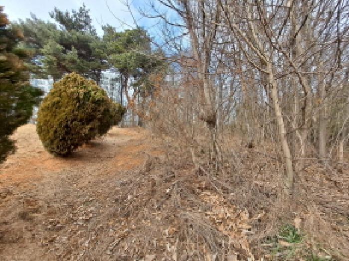 충청남도 당진시 신평면 거산리 22-22 전 경매 사진 44