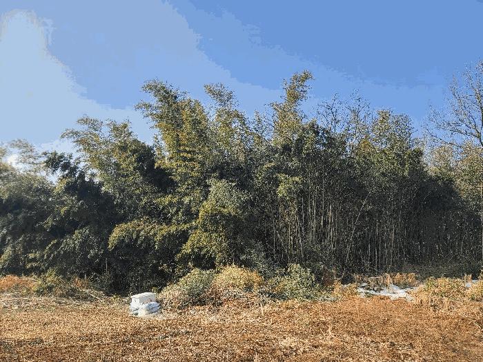 충청남도 당진시 신평면 거산리 22-22 전 경매 사진 5