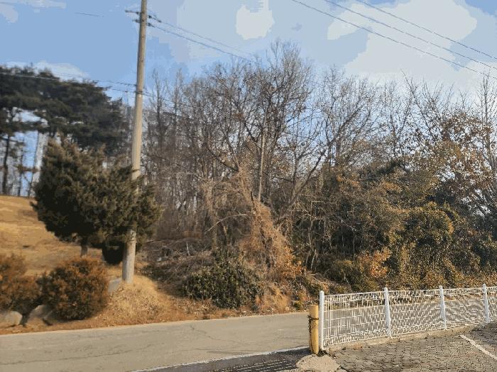 충청남도 당진시 신평면 거산리 22-22 전 경매 사진 7