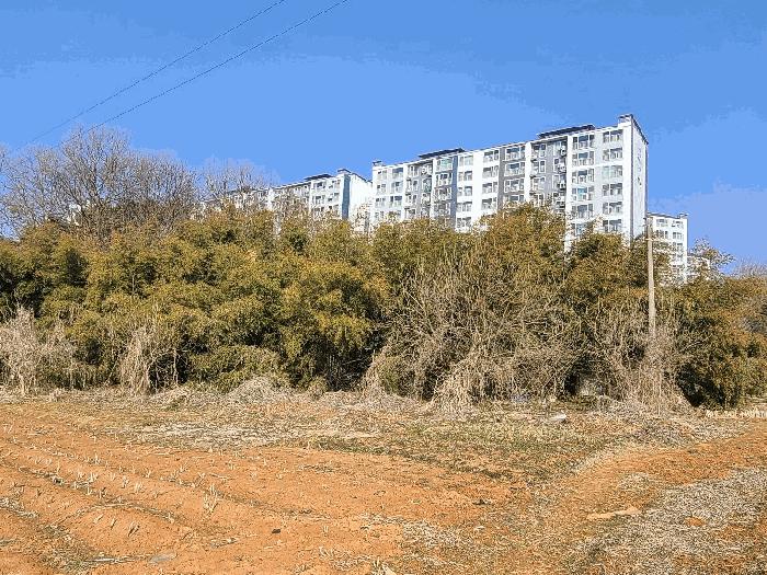 충청남도 당진시 신평면 거산리 22-22 전 경매 사진 8