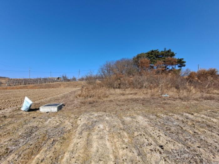 충청남도 당진시 순성면 백석리 150-8 임야 경매 사진 18