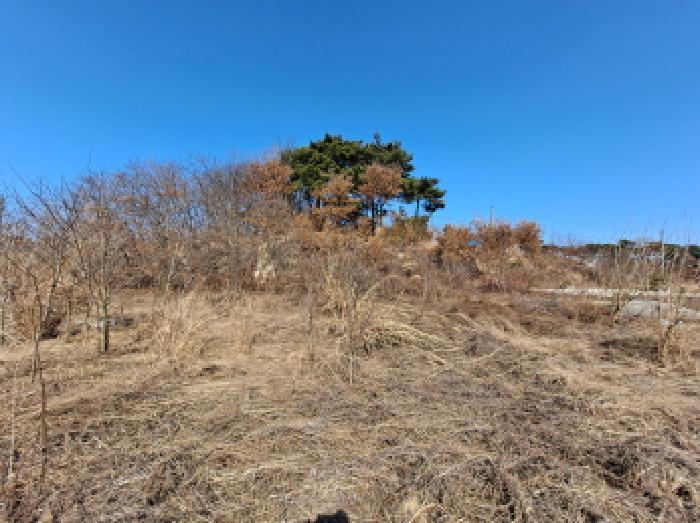 충청남도 당진시 순성면 백석리 150-8 임야 경매 사진 29