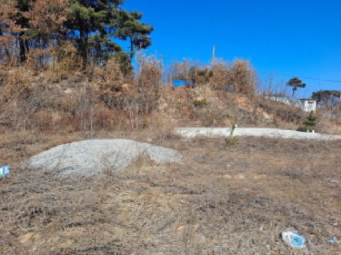 충청남도 당진시 순성면 백석리 150-8 임야 경매 사진 32