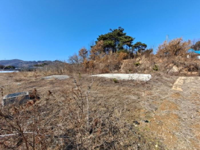 충청남도 당진시 순성면 백석리 150-8 임야 경매 사진 33