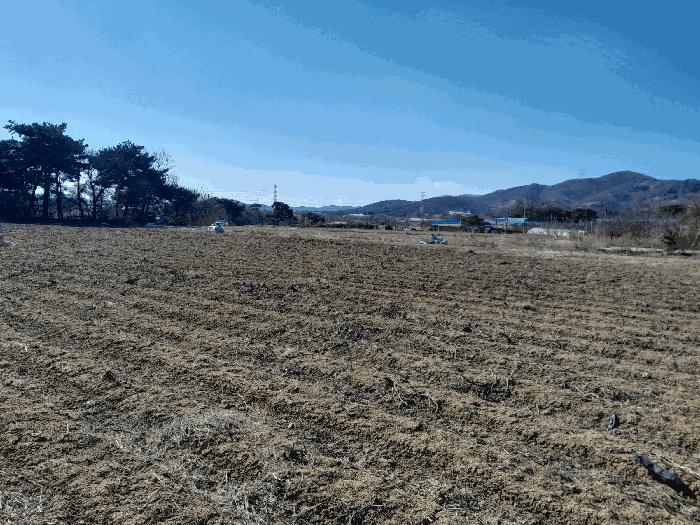 충청남도 당진시 순성면 백석리 150-8 임야 경매 사진 4