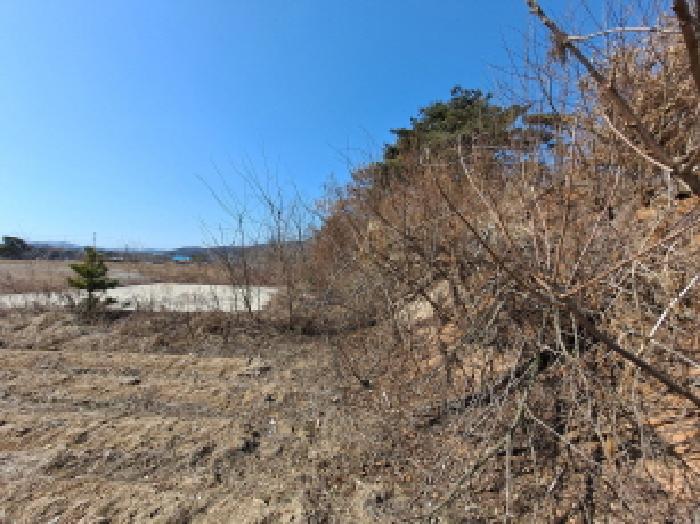 충청남도 당진시 순성면 백석리 150-8 임야 경매 사진 39
