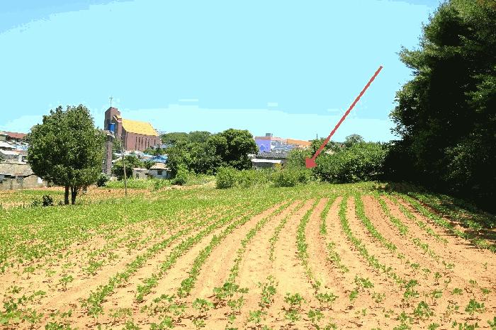 충청남도 당진시 합덕읍 운산리 247-34 전 경매 사진 1