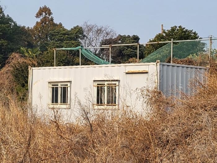 제주특별자치도 서귀포시 대정읍 보성리 1263-3 전 경매 사진 3