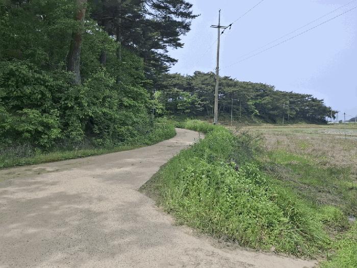 충청남도 태안군 안면읍 정당리 1132-12 답 경매 사진 1