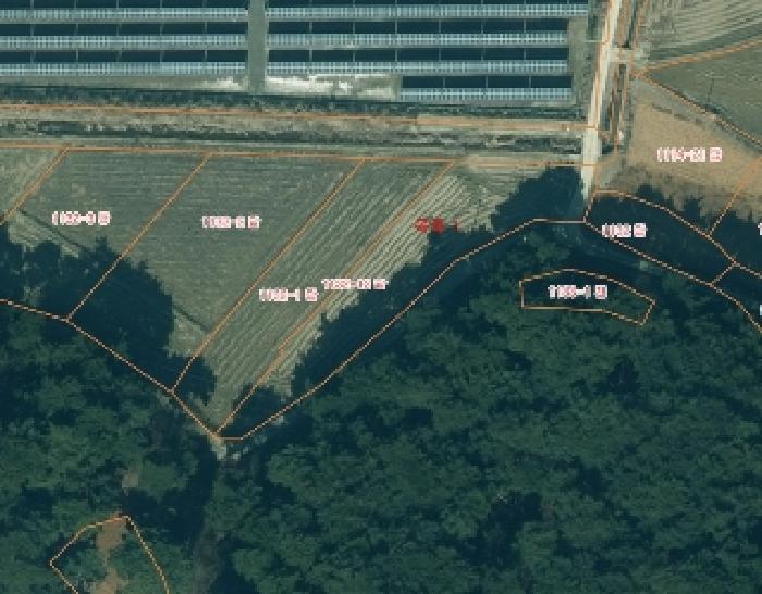 충청남도 태안군 안면읍 정당리 1132-12 답 경매 사진 2