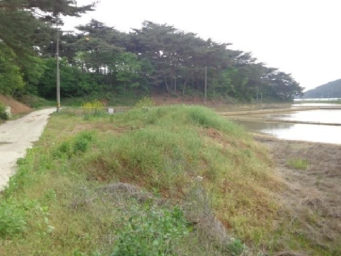 충청남도 태안군 안면읍 정당리 1132-12 답 경매 사진 5