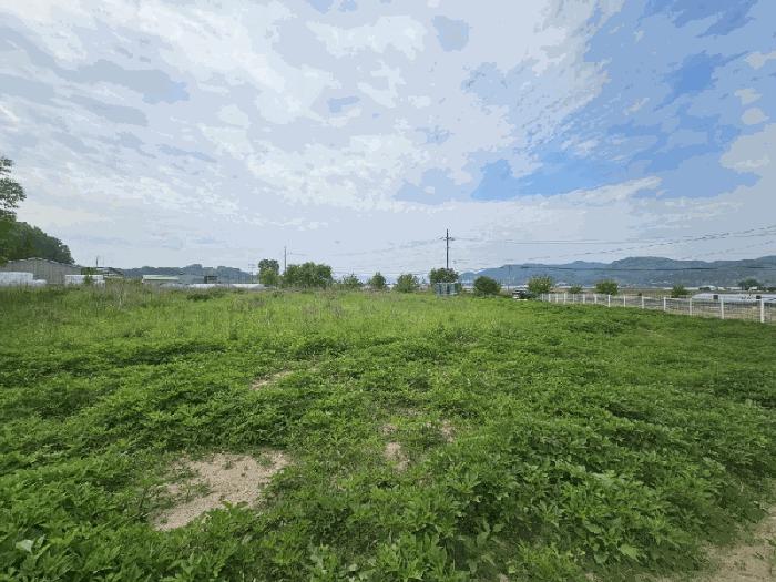 충청북도 충주시 금가면 오석리 363-2 전 경매 사진 5