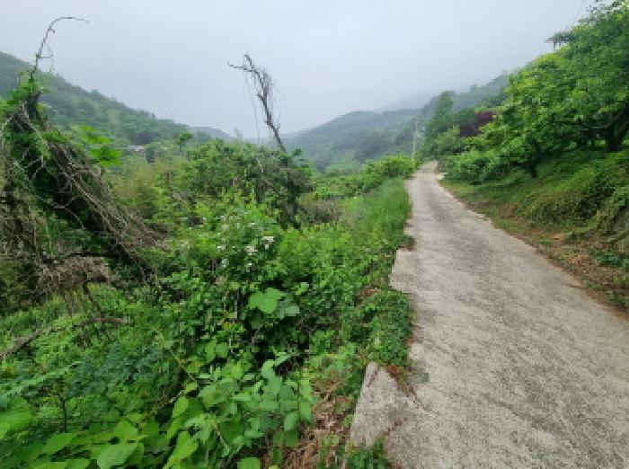 전라남도 광양시 옥곡면 수평리 산147 임야 경매 사진 19