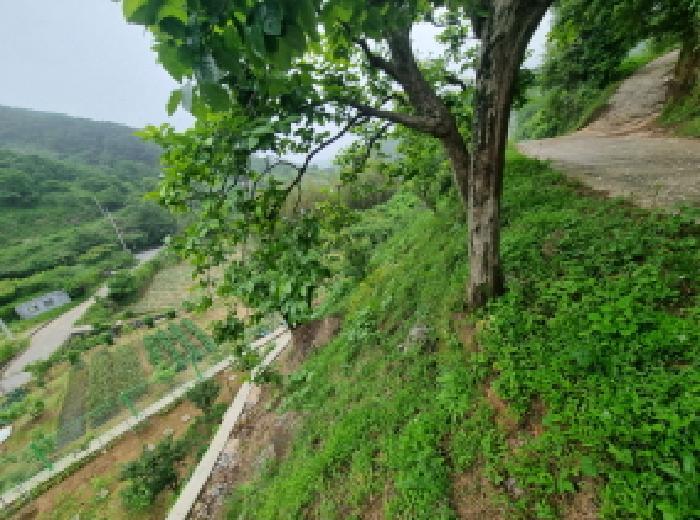 전라남도 광양시 옥곡면 수평리 산147 임야 경매 사진 23