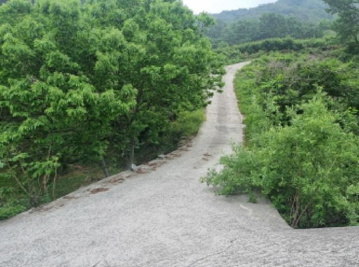 전라남도 광양시 옥곡면 수평리 산147 임야 경매 사진 36