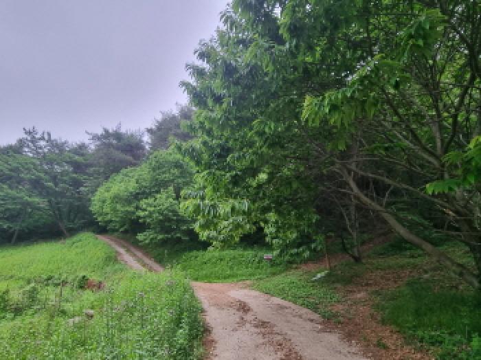 전라남도 광양시 옥곡면 수평리 산147 임야 경매 사진 55