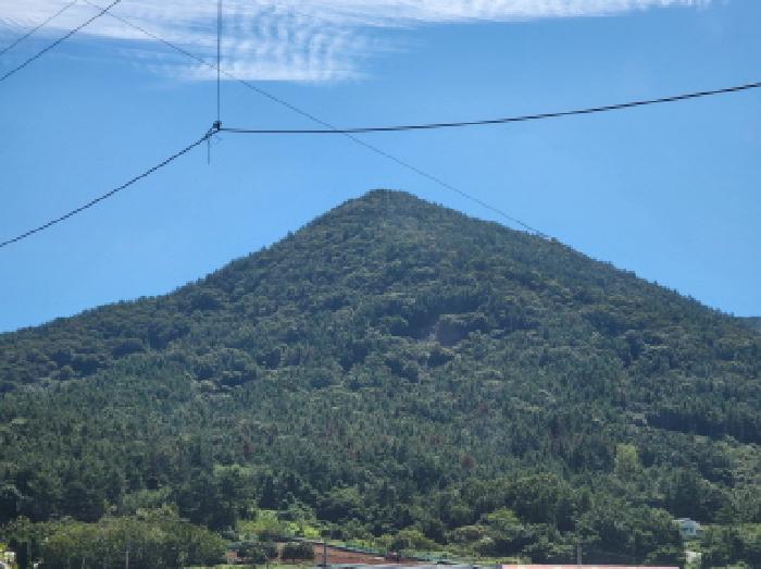 전라남도 여수시 돌산읍 평사리 산487 임야 경매 사진 5