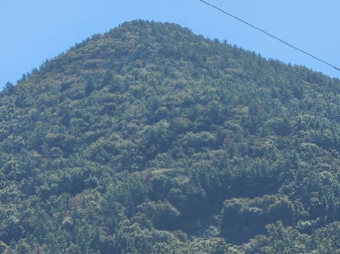 전라남도 여수시 돌산읍 평사리 산487 임야 경매 사진 6