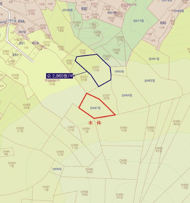 전라남도 여수시 돌산읍 평사리 산487 임야 경매 사진 7
