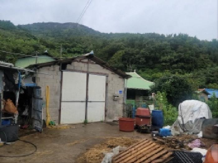 전라남도 고흥군 도화면 구암리 960-3 답 경매 사진 8