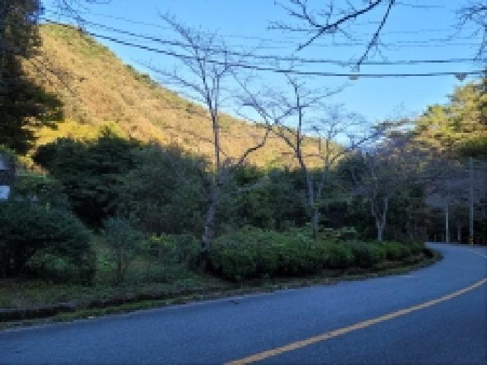 전라남도 보성군 문덕면 죽산리 620-1 답 경매 사진 10