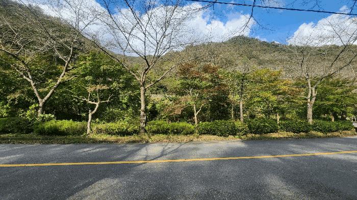 전라남도 보성군 문덕면 죽산리 620-1 답 경매 사진 2