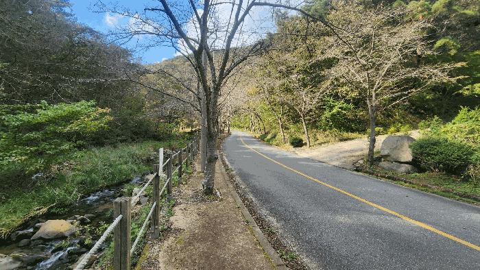 전라남도 보성군 문덕면 죽산리 620-1 답 경매 사진 6