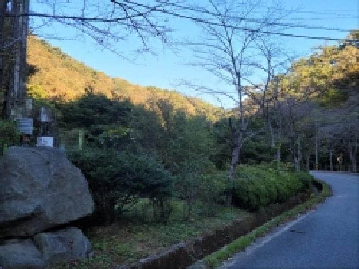 전라남도 보성군 문덕면 죽산리 620-1 답 경매 사진 7