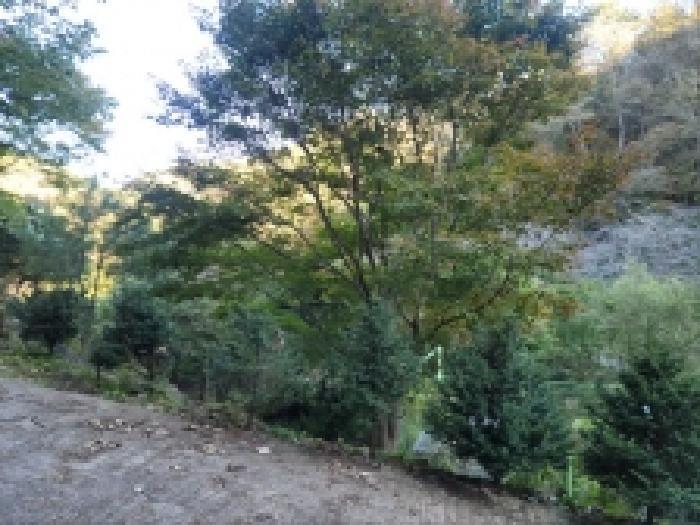 전라남도 보성군 문덕면 죽산리 620-1 답 경매 사진 8