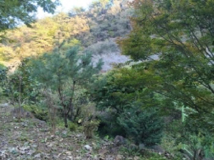 전라남도 보성군 문덕면 죽산리 620-1 답 경매 사진 9