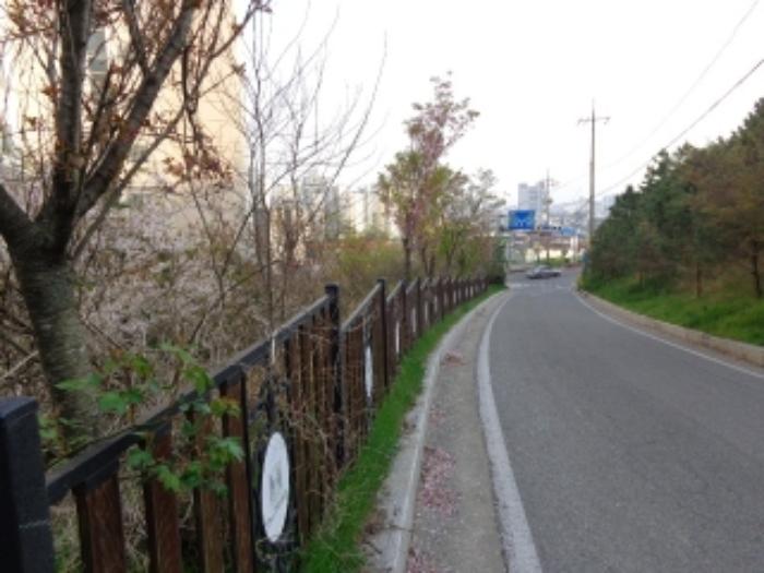 충청남도 서산시 안견로 91, 근린생활시설동 지1층비04호 (동문동,서산동문동아더프라임)구) 충청남도 서산시 동문동 600 근린상가 경매 사진 25