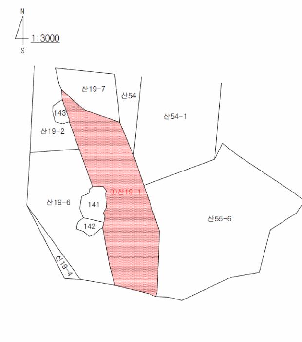 경상북도 구미시 양호동 산19-1 임야 경매 사진 11