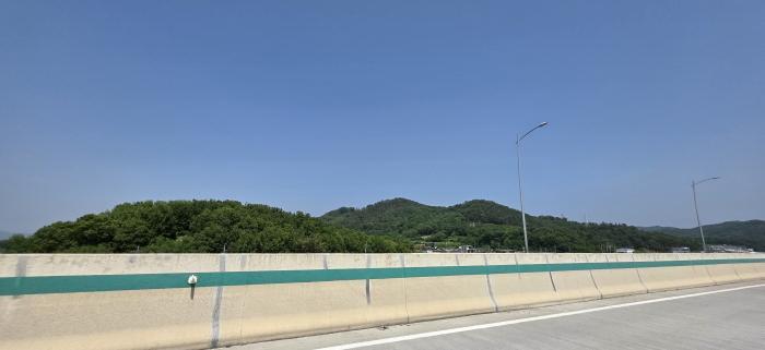 경상북도 구미시 양호동 산19-1 임야 경매 사진 5