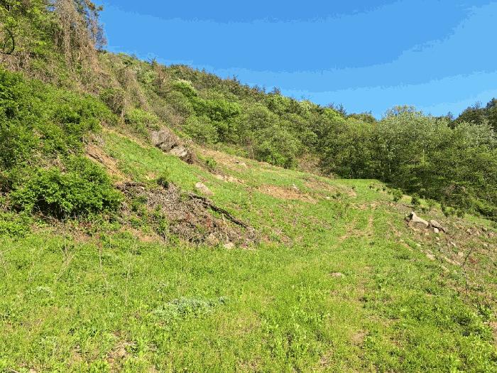 전라남도 순천시 덕월동 1321-45 전 경매 사진 13