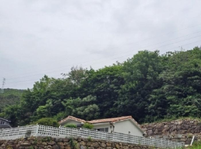 전라남도 순천시 덕월동 1321-45 전 경매 사진 24