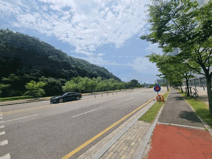 경기도 시흥시 배곧동 294-1 골드테크노밸리 4층447호 아파트형공장 경매 사진 6