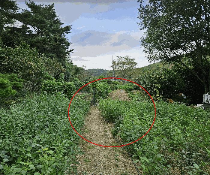 울산광역시 중구 유곡동 867 전 경매 사진 1