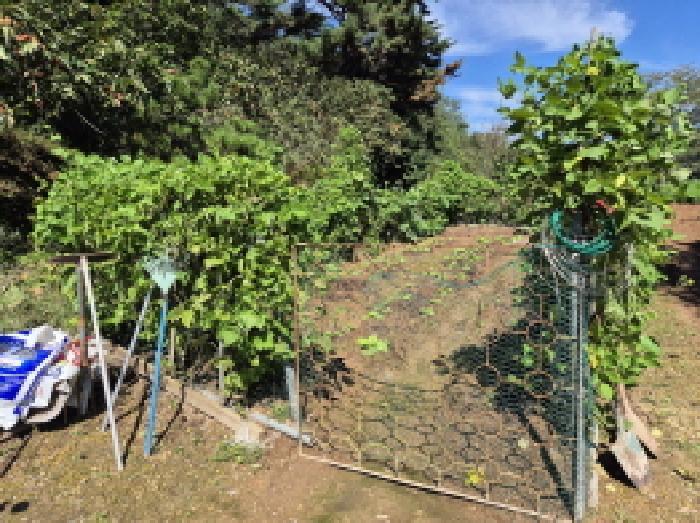 울산광역시 중구 유곡동 867 전 경매 사진 10