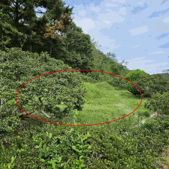 울산광역시 중구 유곡동 876 전 경매 사진 2
