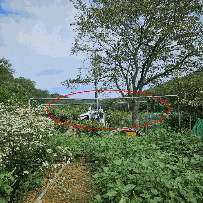 울산광역시 중구 유곡동 876 전 경매 사진 7