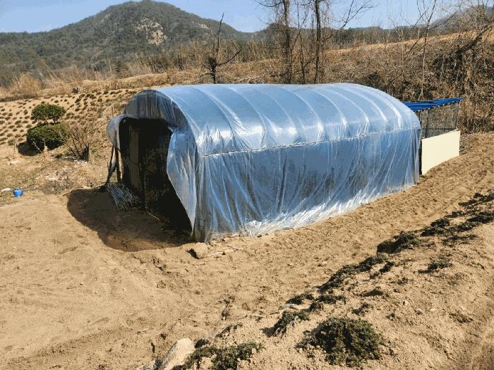 충청남도 금산군 남일면 신정리 624 답 경매 사진 11