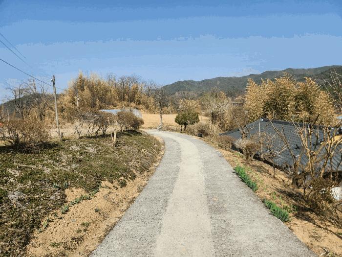 충청남도 금산군 남일면 신정리 624 답 경매 사진 13